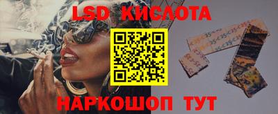 apvp Камышлов