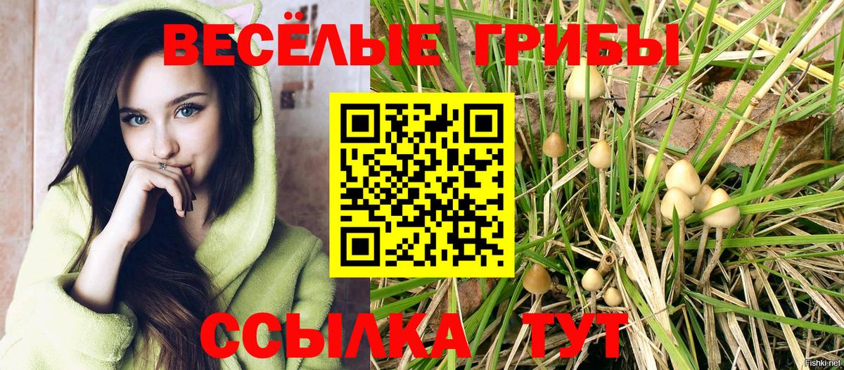 Галлюциногенные грибы прущие грибы  Вход с VPN  Псилоцибиновые грибы ЛСД  Георгиевск 